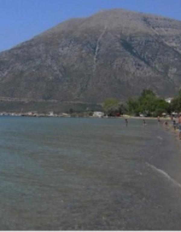 ΜΑΚΥΝΕΙΑ