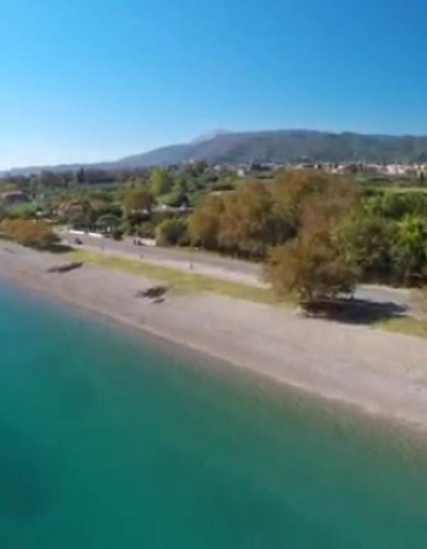 ΠΛΑΤΑΝΙΤΗΣ