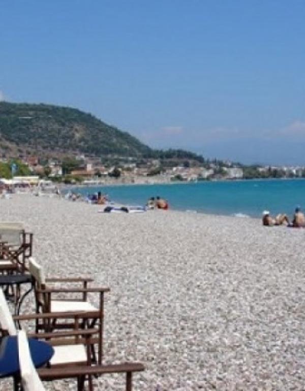 ΨΑΝΗ