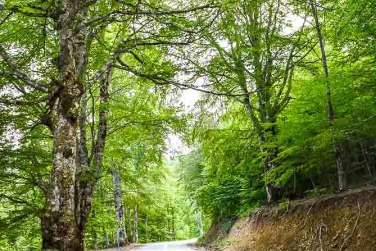 Ορεινή Ναυπακτία: γιατί τα βουνά έχουν άλλη χάρη!
