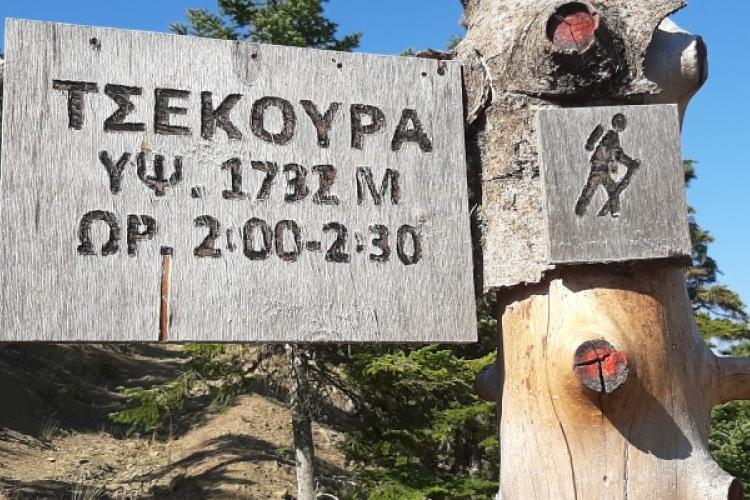 Ορεινή Ναυπακτία: Ανάβαση στην κορυφή Τσεκούρα