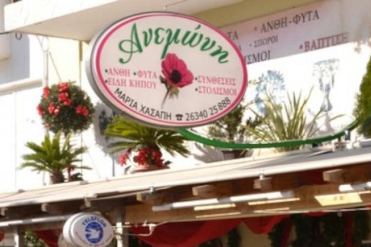 Ανεμώνη