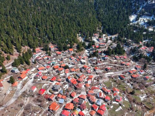 Κρυονέρια: Tο καταπράσινο, «αγχολυτικό» χωριό της ορεινής Ναυπακτίας. 