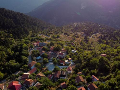 Λεύκα Ναυπακτίας: Ένα καταπράσινο χωριό-ησυχαστήριο - Μια πανέμορφη γωνιά της Ελλάδας, με την Φύση σε πρώτο πλάνο.