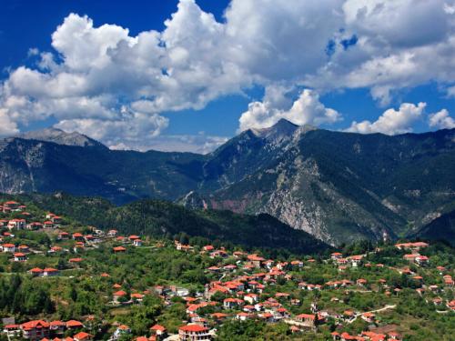 Slow living: Ο Δημήτρης άφησε την Αθήνα για να ζήσει στην Άνω Χώρα Ναυπακτίας