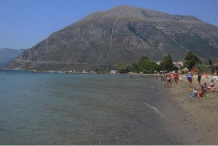 ΜΑΚΥΝΕΙΑ